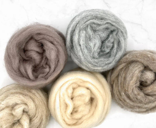 Muted Tones Carded Sliver Mixed Bag Corriedale Wool